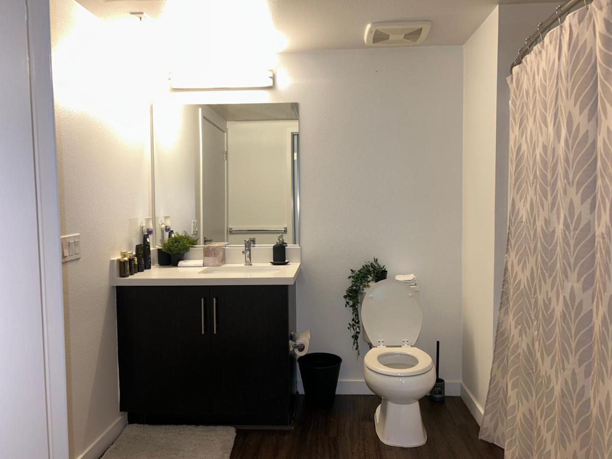 Luxury Apartment In Hollywood 洛杉矶 外观 照片